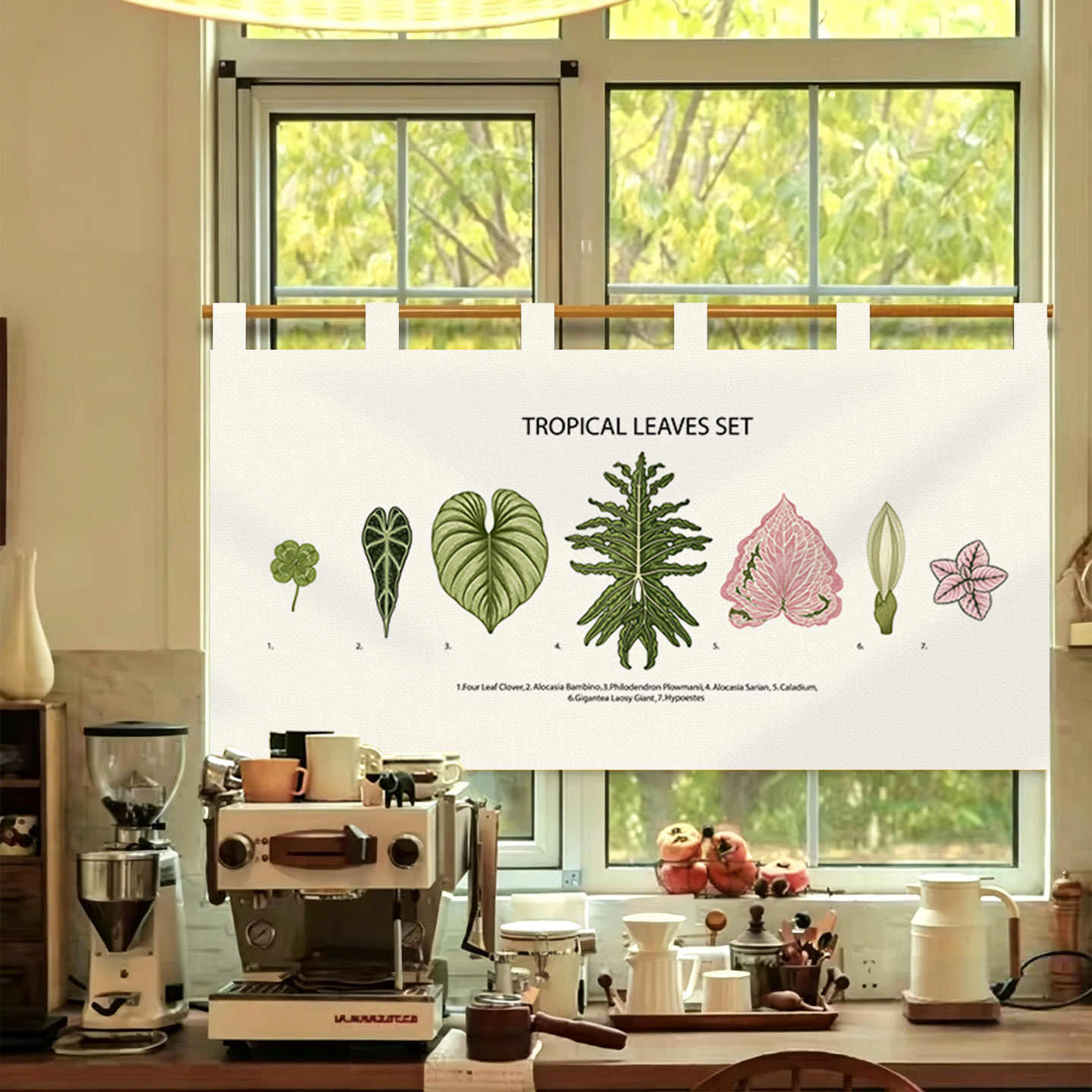 VIKAMA Vintage Hand Drawn Nore - Commercial Window Printing recension och pris
